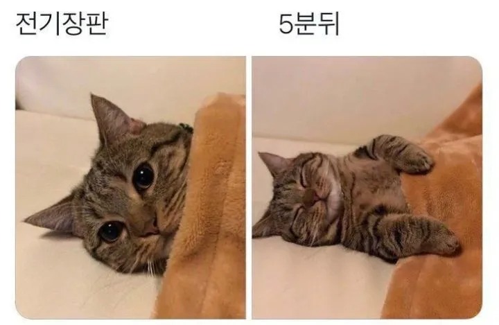 몸에 열이 많은 사람 특