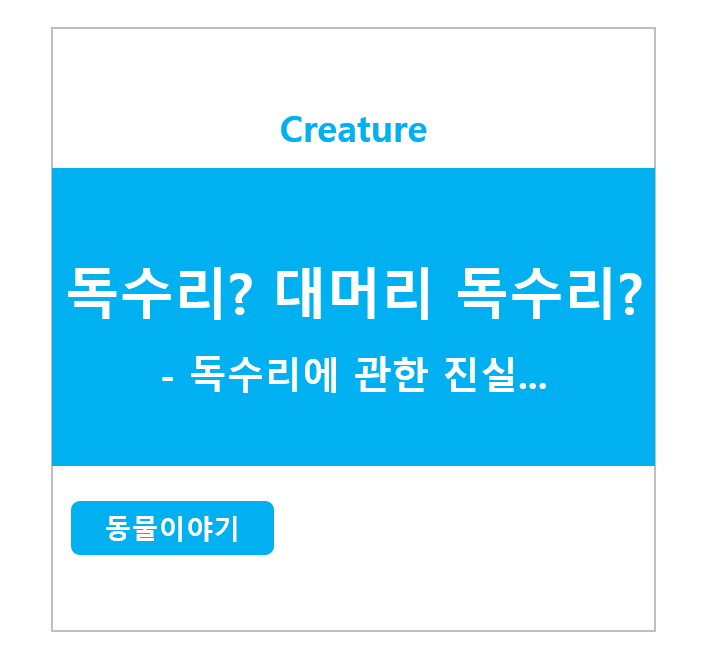  독수리? 대머리독수리? - 독수리에 관한 진실...