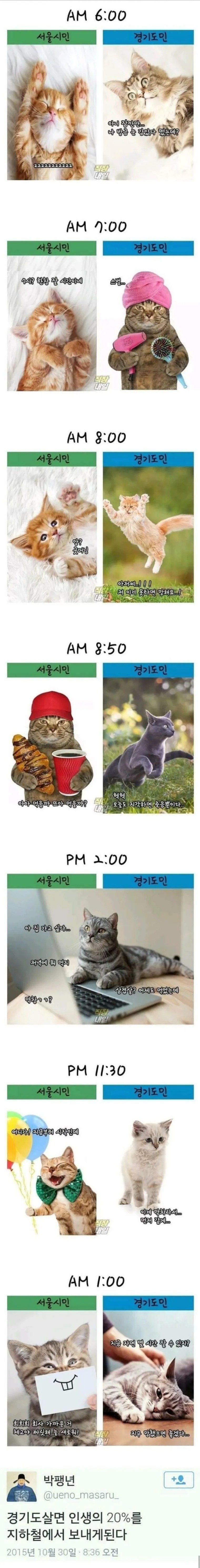 서울시민vs경기도민