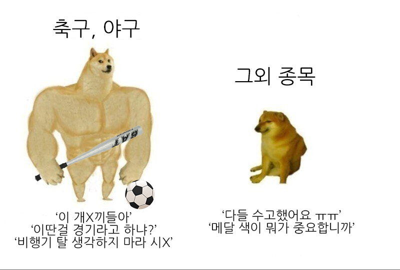 한국의 국제 스포츠경기 특징 