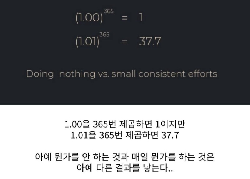 1과 1.01의 차이