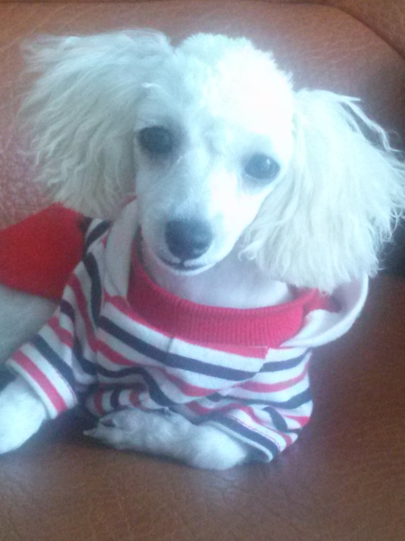 방울이 독사진 올려요..