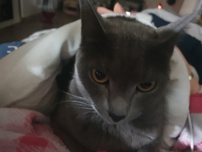 울보리에요^^*