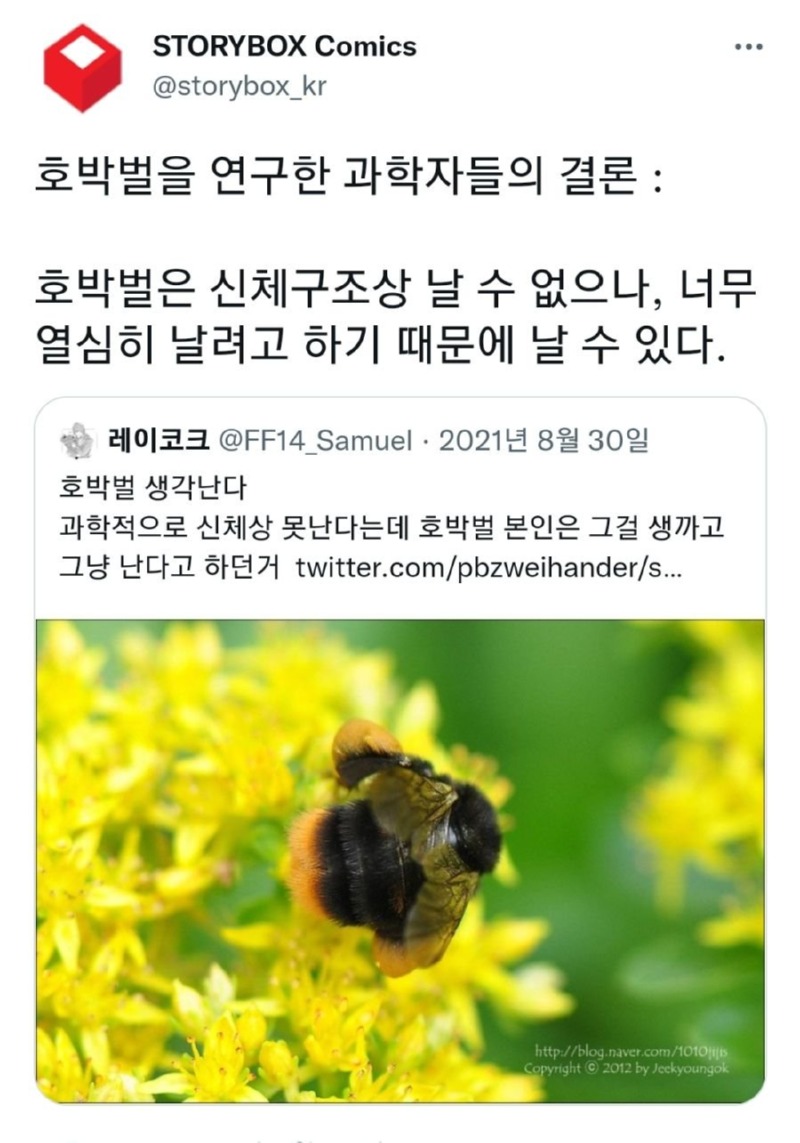귀여운 호박벌이 날 수 있는 이유