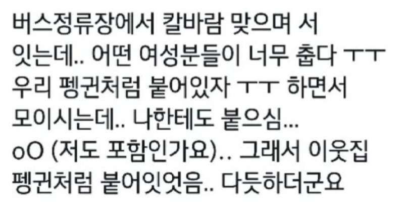 정류장에 나타난 펭귄