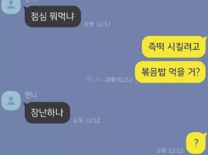 개멋있는 언니