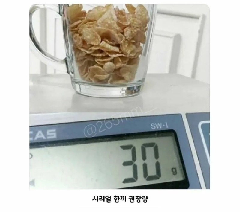시리얼 먹는데 살 찌는 이유