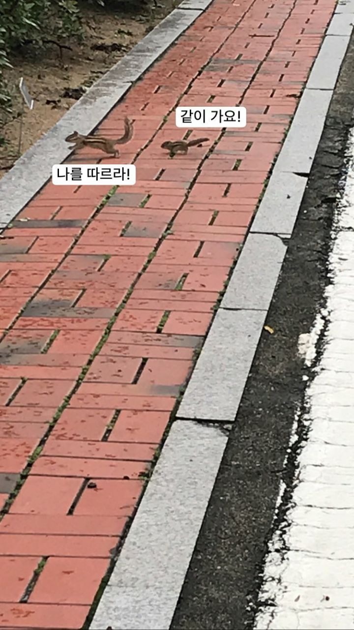 2022년도 하루밖에 남지 않았네요.