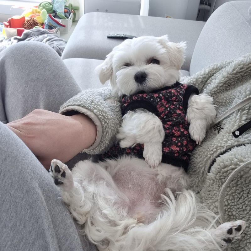 팔자좋은 내새끼♡
