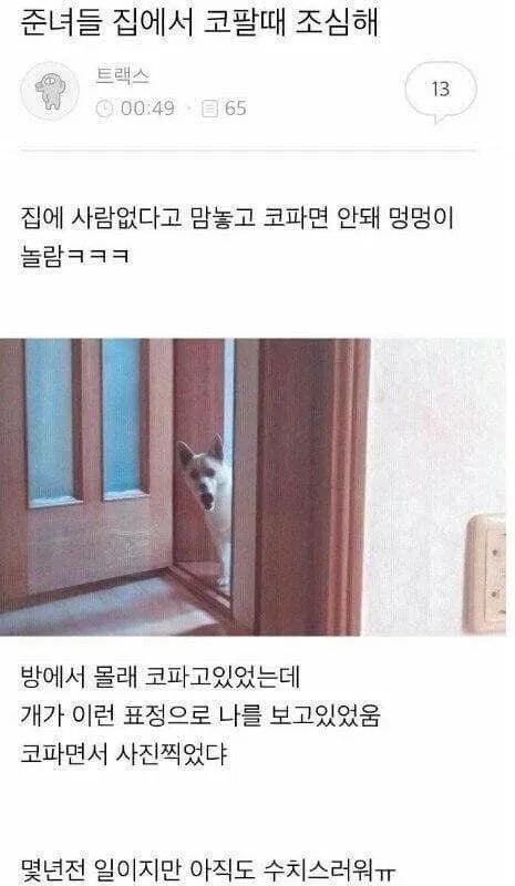집에 사람 없다고 코파면 안되는 이유