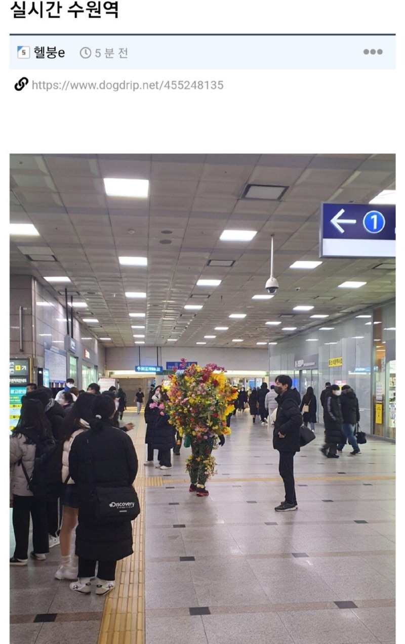 수원역 해바라기