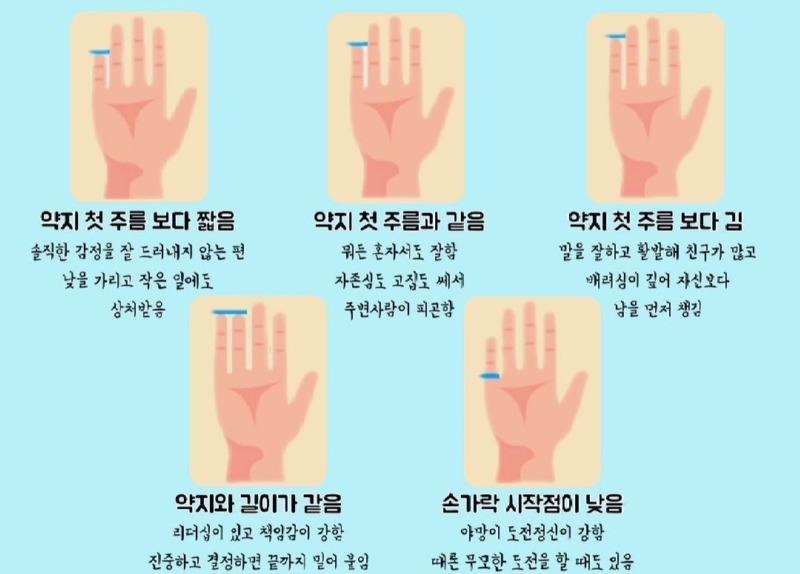 새끼손가락 길이별 성격 유형