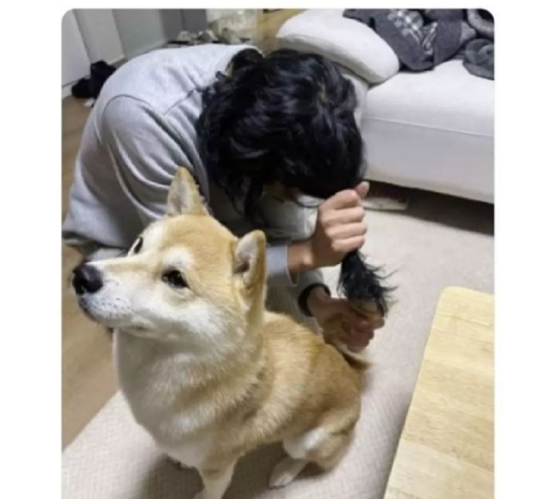 아바타 후기