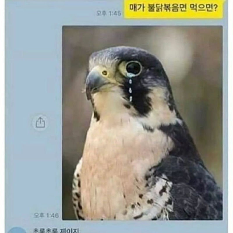 이과 망했으면(1)