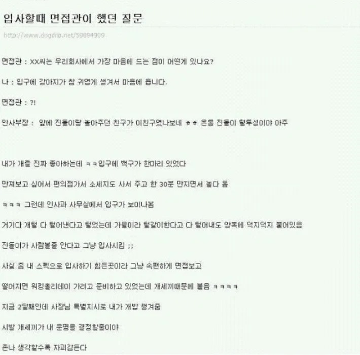 입사할 때 면접관이 했던 질문