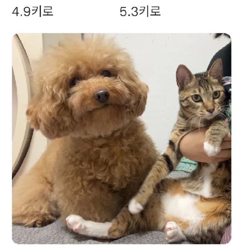 새해 복 많이받으세요!!