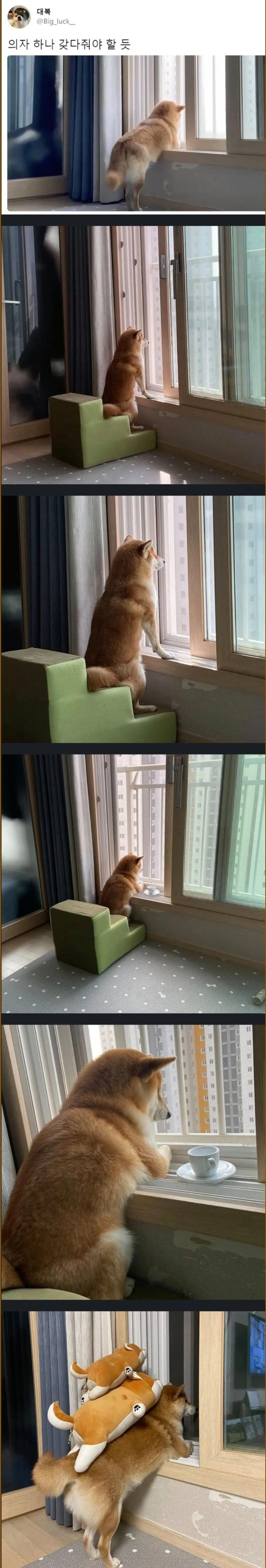 취미가 확실한 강아쥐