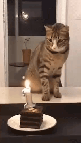 생일 축하 합닏