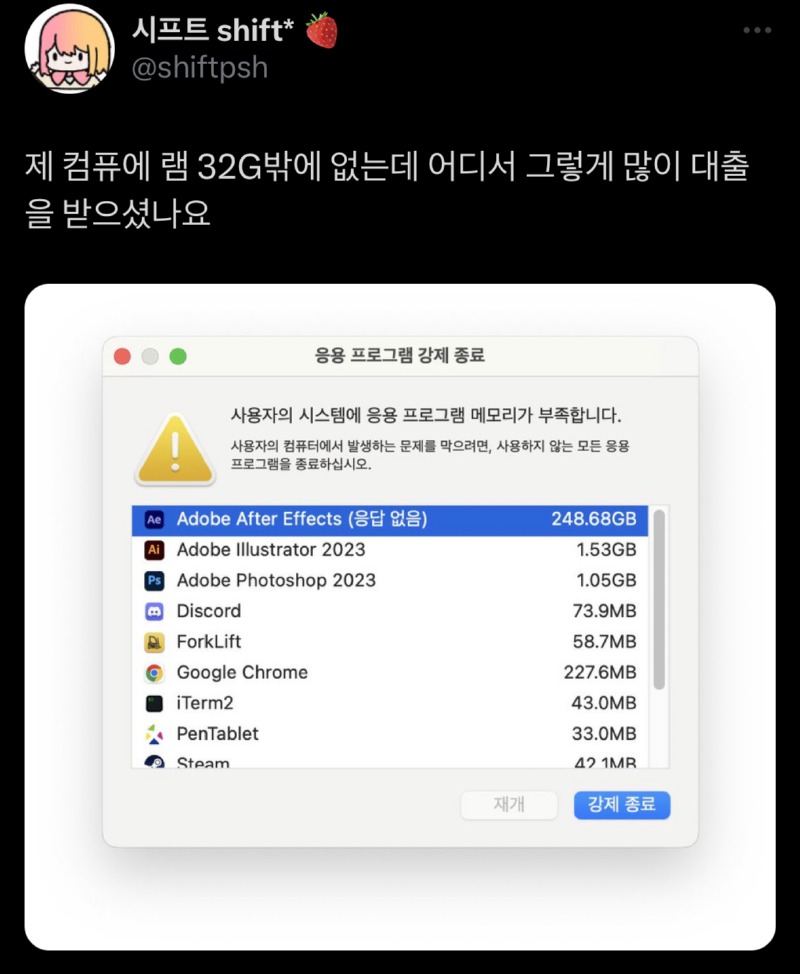 맥os의 램 점유율 