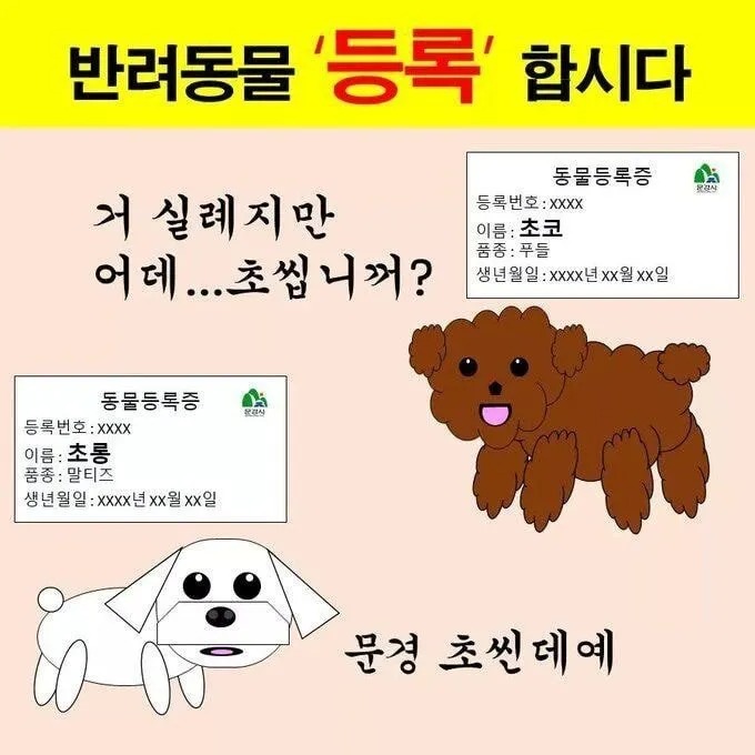 문경시 반려동물 등록 독려