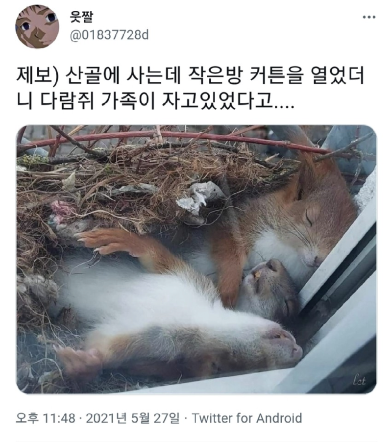 창문을 열어봤더니