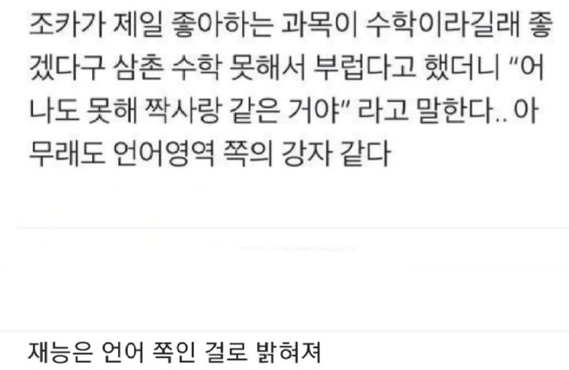 조카의 재능