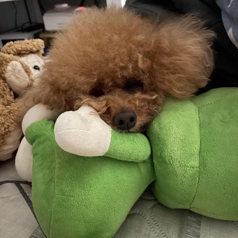 주말은 심심해