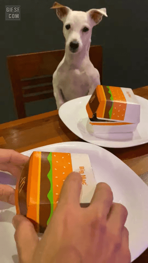 이건 내꺼, 그리고 이건 니꺼 
