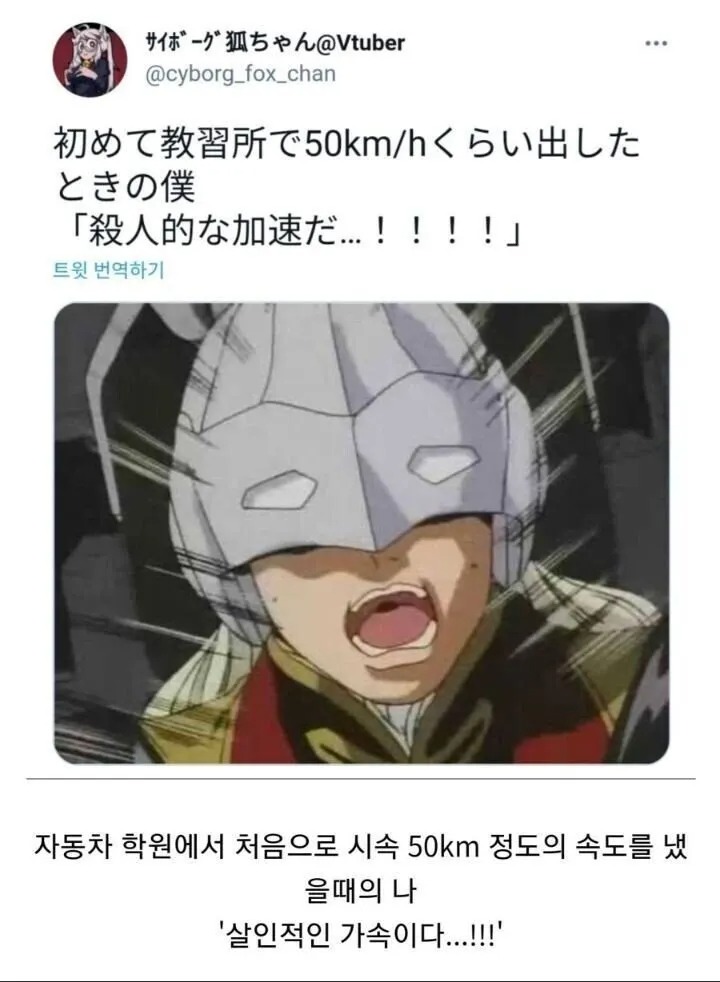 운전 처음하는 사람 특징