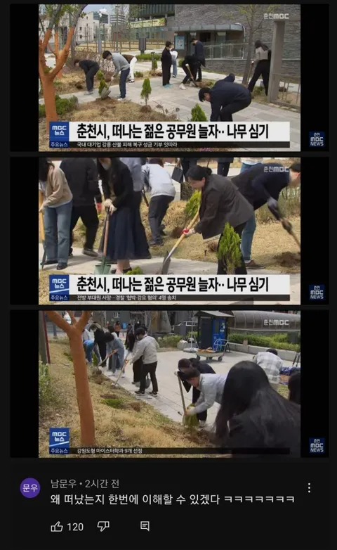 공무원이 열리는 나무