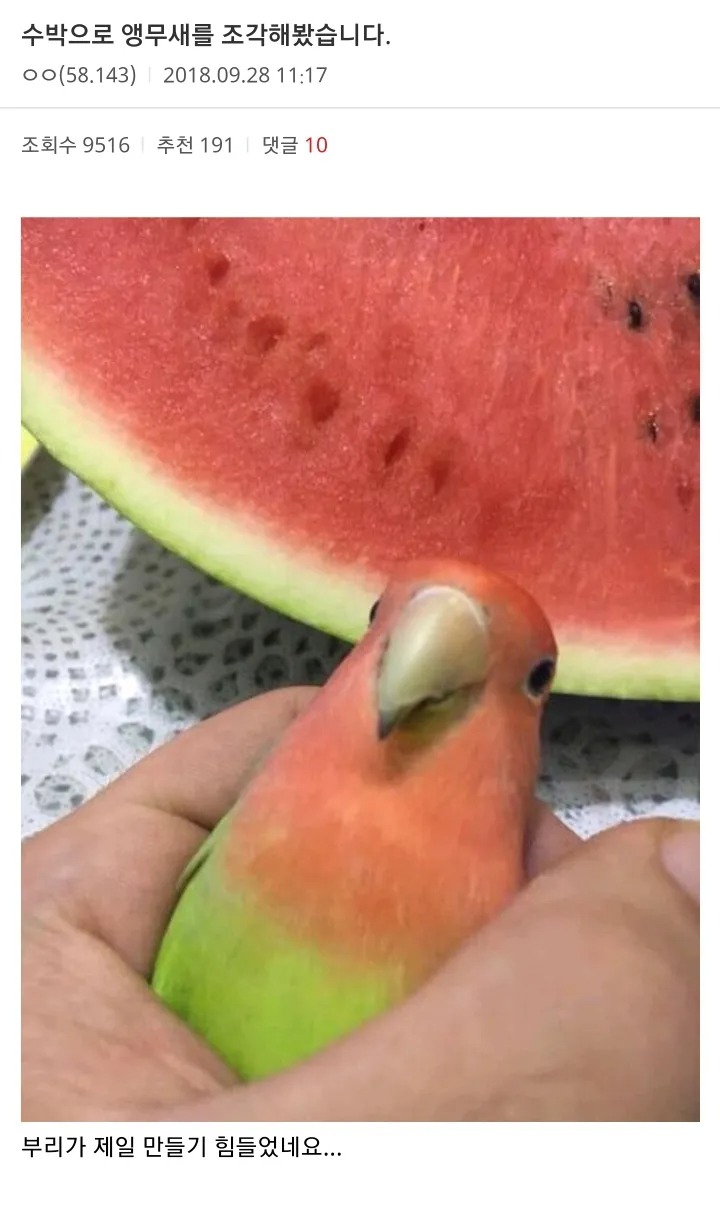 허언 모음