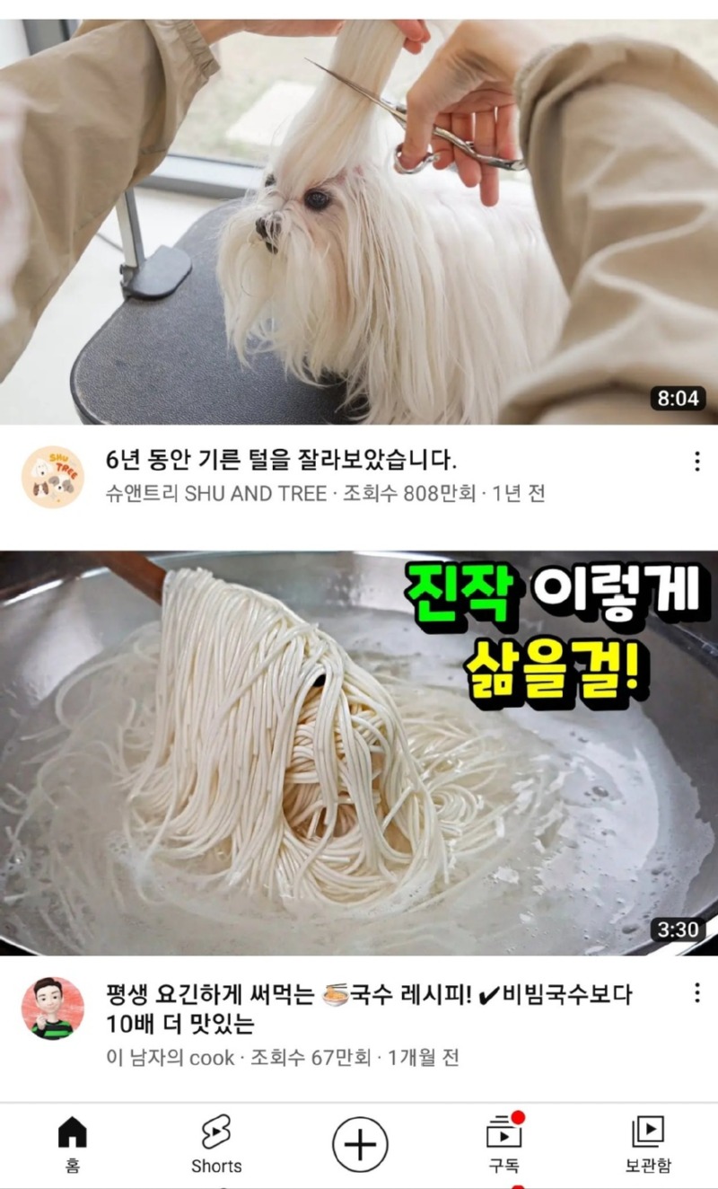 6년 기른 털을 잘라보았습니다.