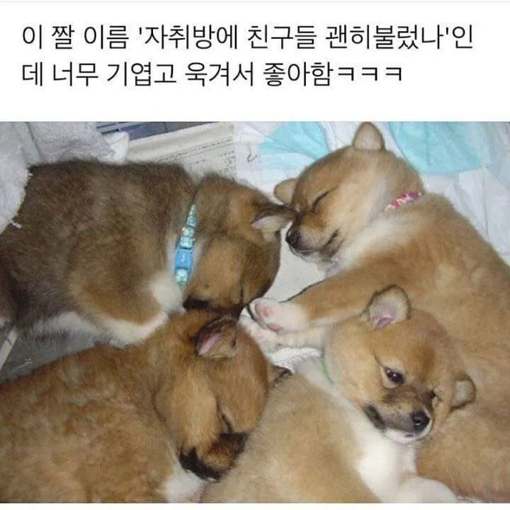 자취방에 친구들 괜히 불렀나...
