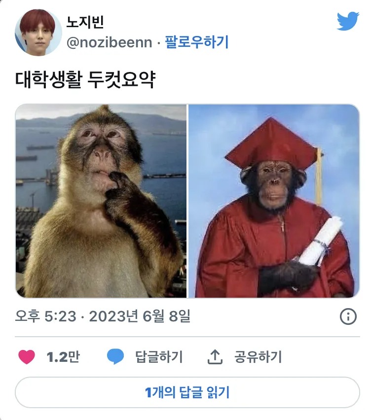 대학 생활 2컷 요약