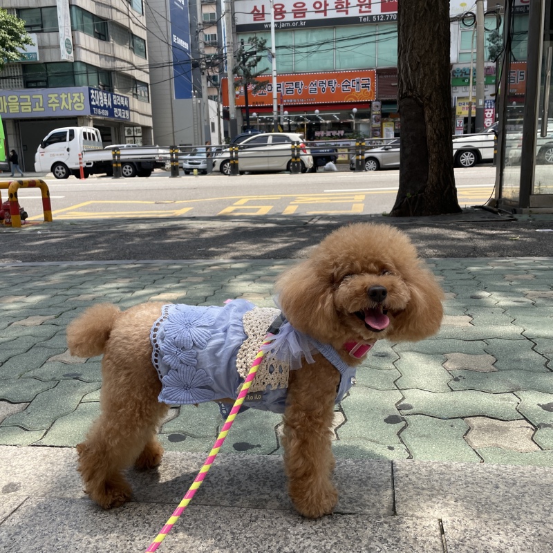 오랜만이에요