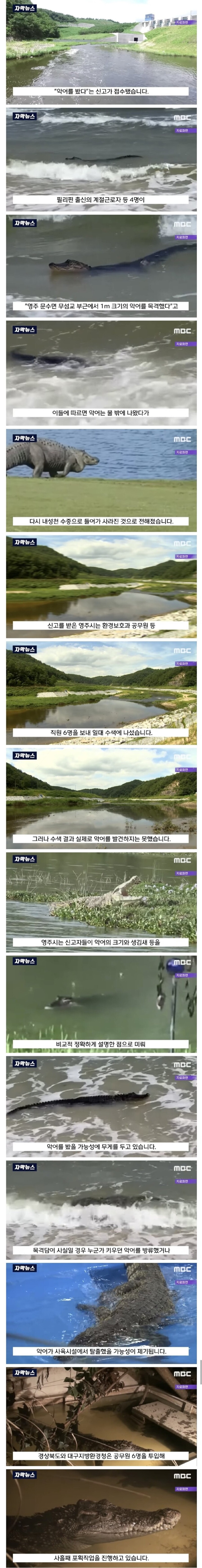 국내 강 근황 
