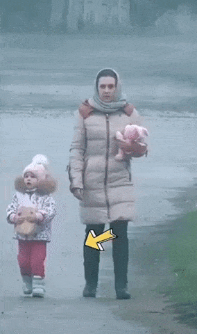 불길한 기운을 감지한 고양이