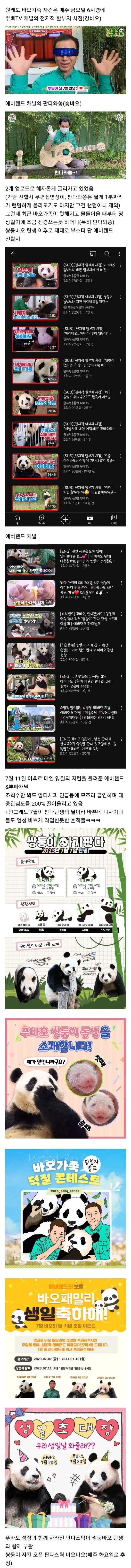 대기업이 제대로 노를 저을 때 보여주는 클라쓰.바오패밀리