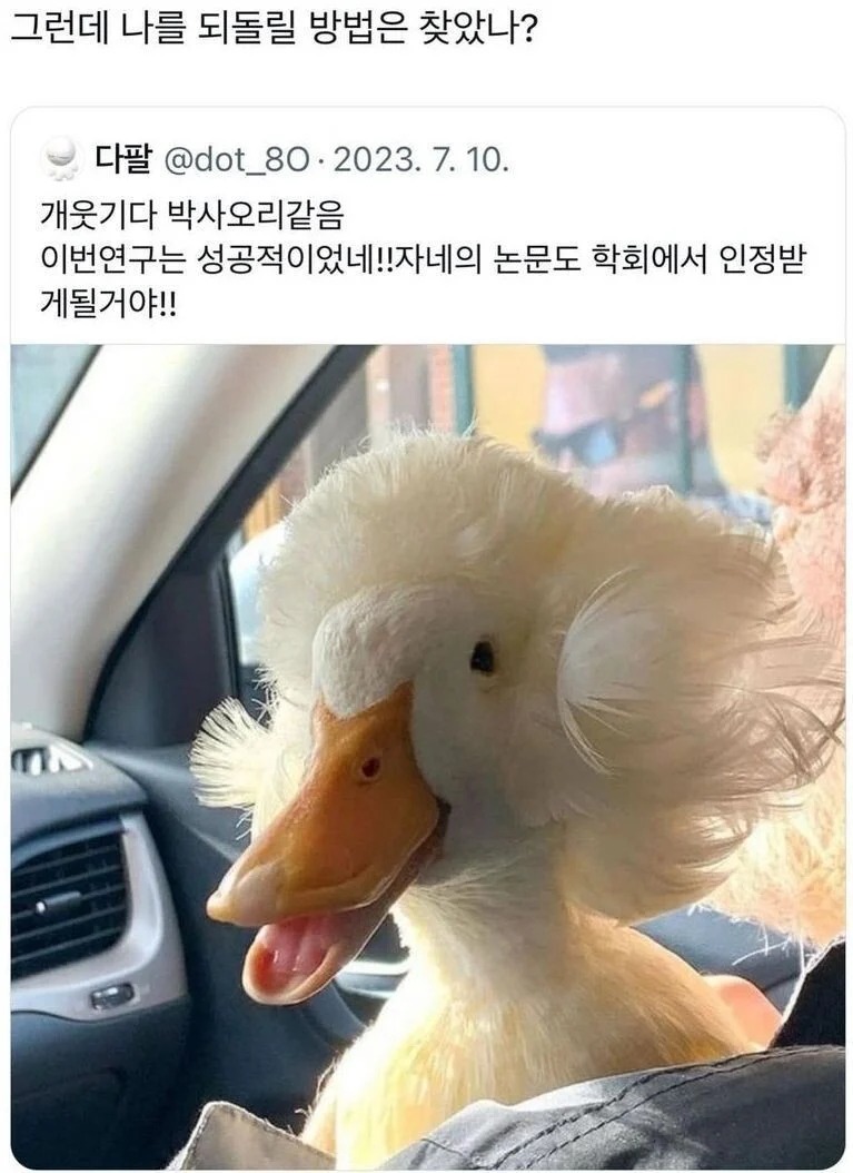 연구에 성공한 사이코박사오리 