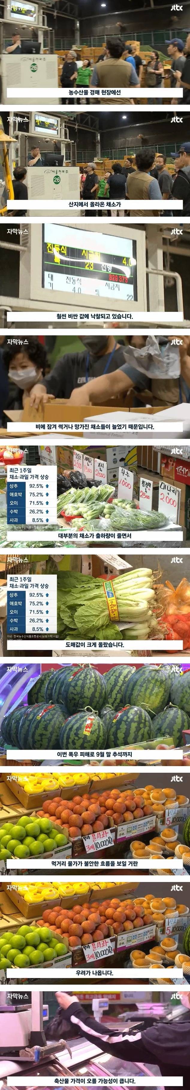 폭우로 가격이 폭등한 농수산물 도매시장 