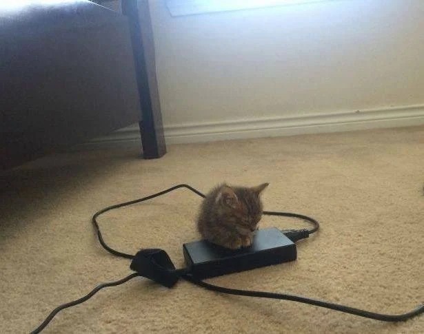 따듯하다면, OK입니다. 