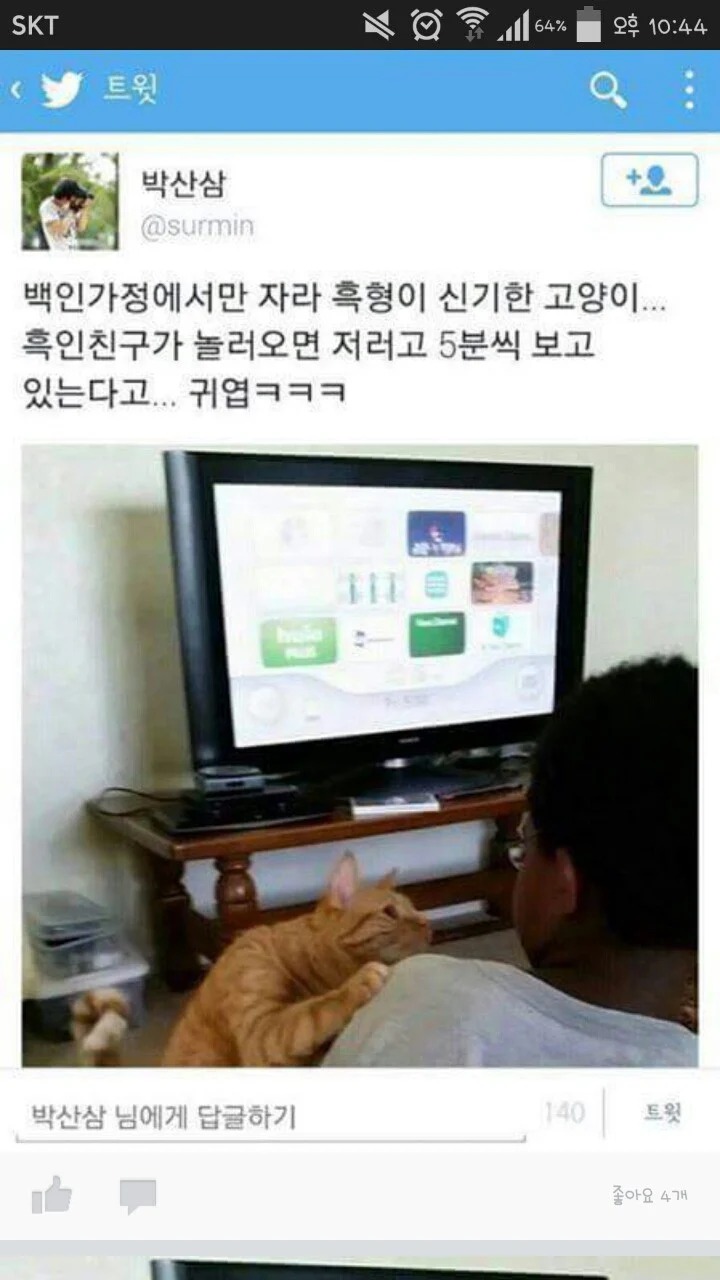 흑인을 처음 본 고양이 