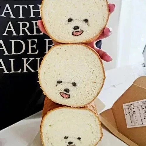 빵 안에 봉인된 비숑프리제 