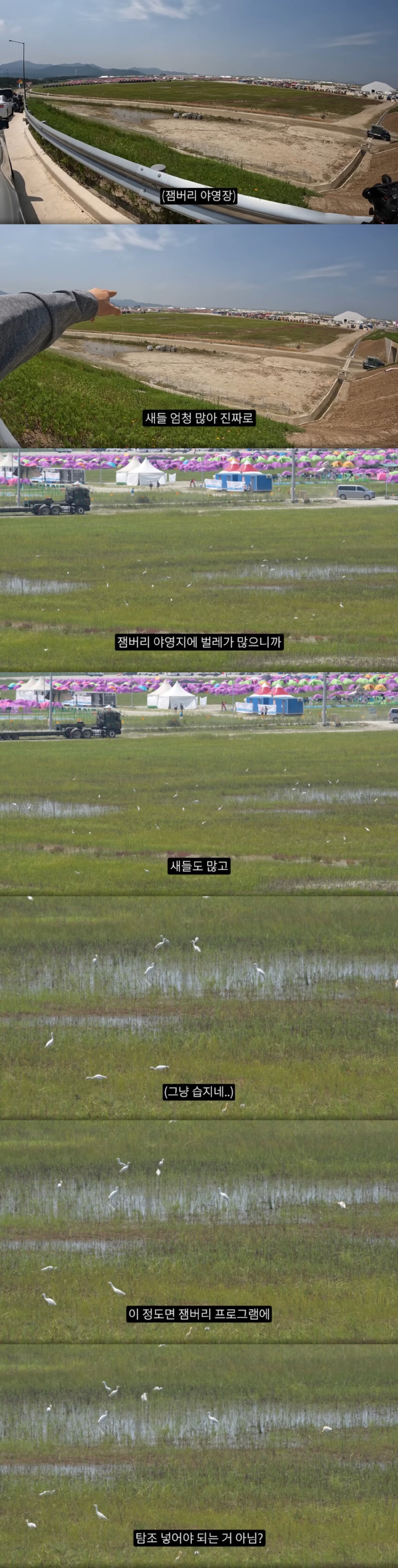 새만금 잼버리 가보고 놀란 새덕후 