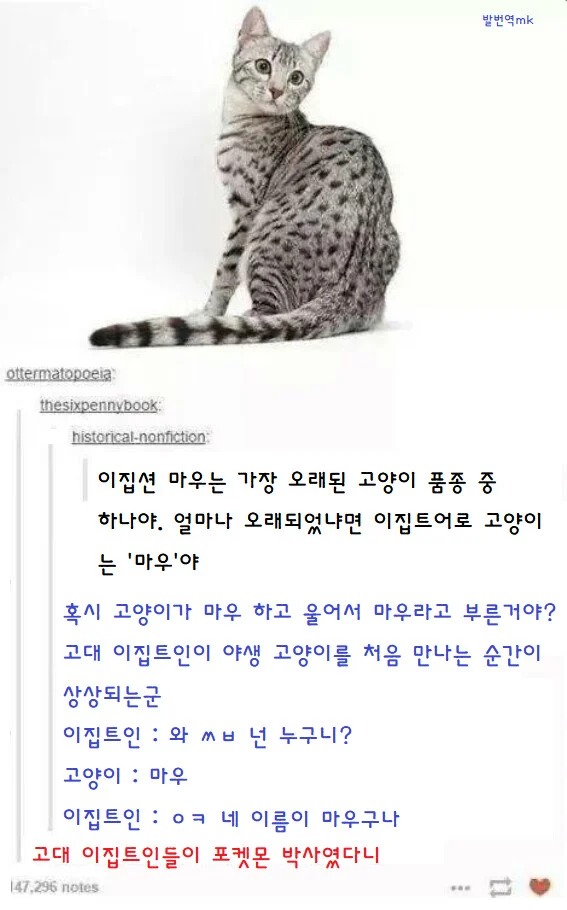 현존하는 가장 오래된 고양이 품종 