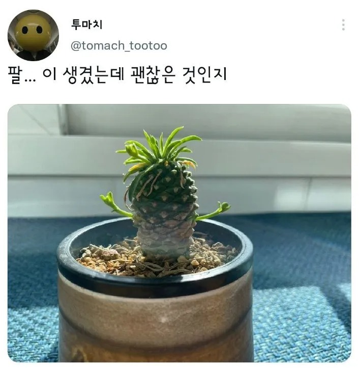 안아줘요