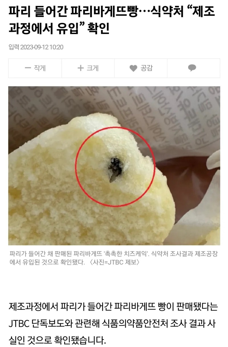 파리, 바게뜨 