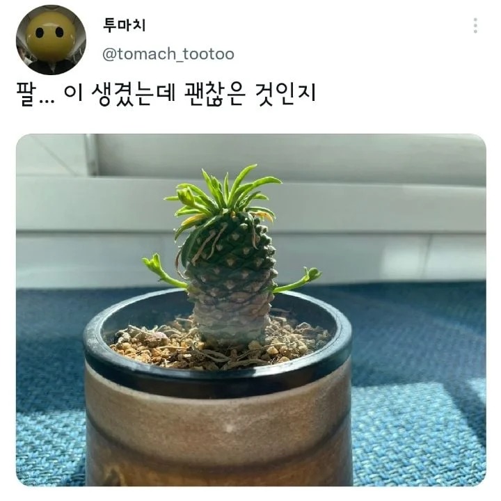 팔이 생긴 녀석 