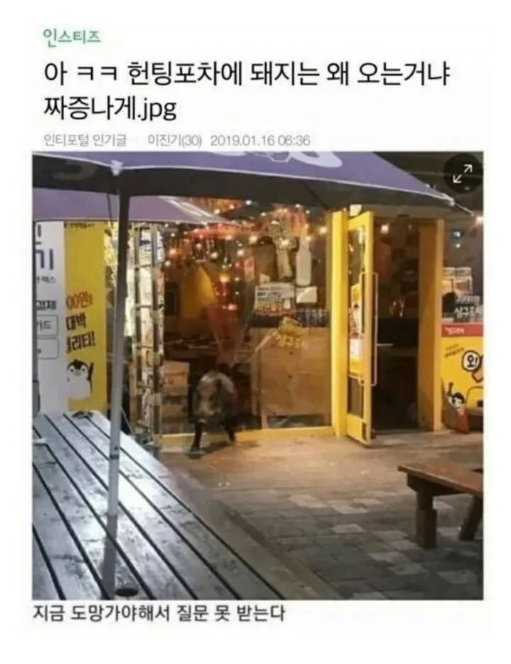아ㅋㅋ헌팅포차에 왜 돼지가 오는거냐?