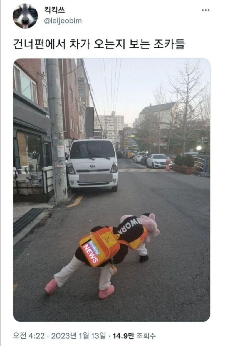 건너편에 차가 오는지 확인하는 조카들 
